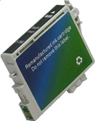 Click To Go To The T054120 Cartridge Page