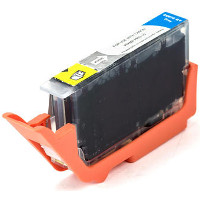 Click To Go To The PGI-72GY Cartridge Page